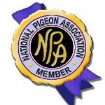 NPA affiliated Club Logo copy